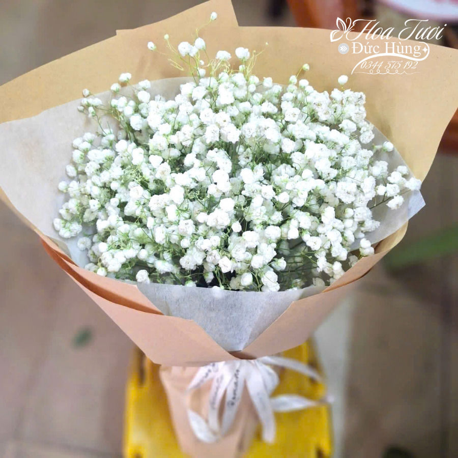 Bó Hoa Baby Tặng Thầy Giáo